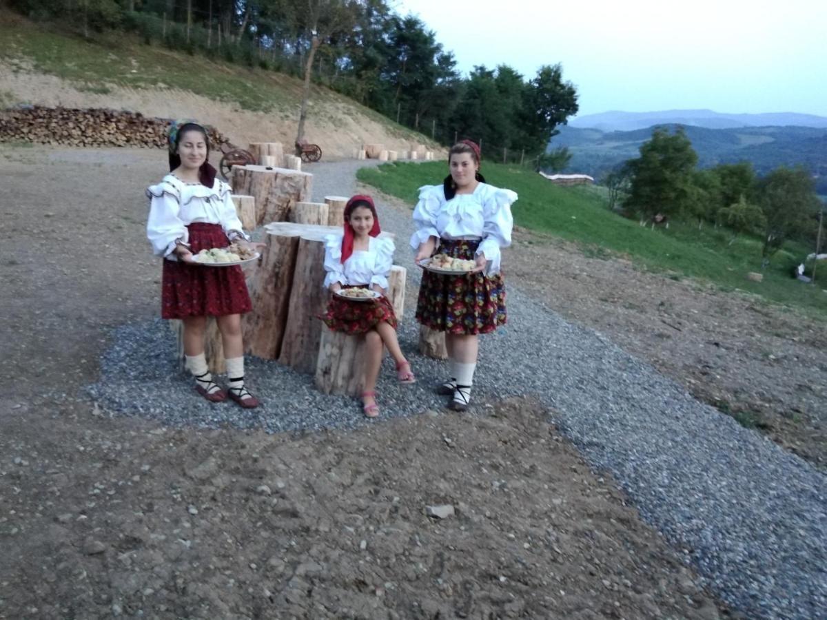 Pensiunea Valea Branzei Nanesti Dış mekan fotoğraf