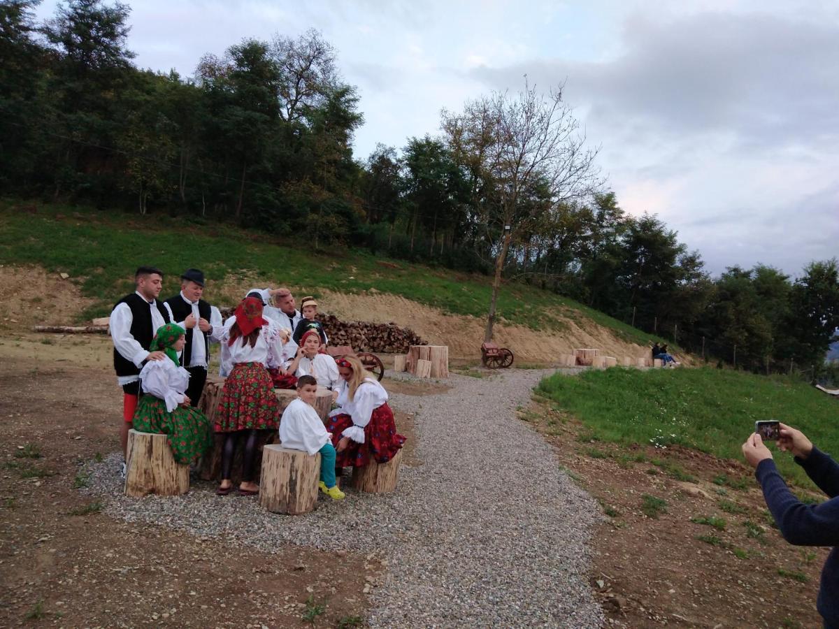 Pensiunea Valea Branzei Nanesti Dış mekan fotoğraf