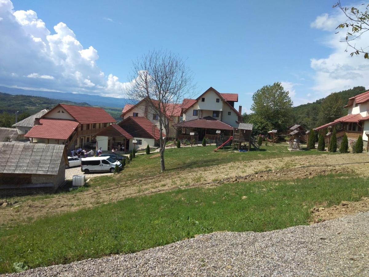 Pensiunea Valea Branzei Nanesti Dış mekan fotoğraf