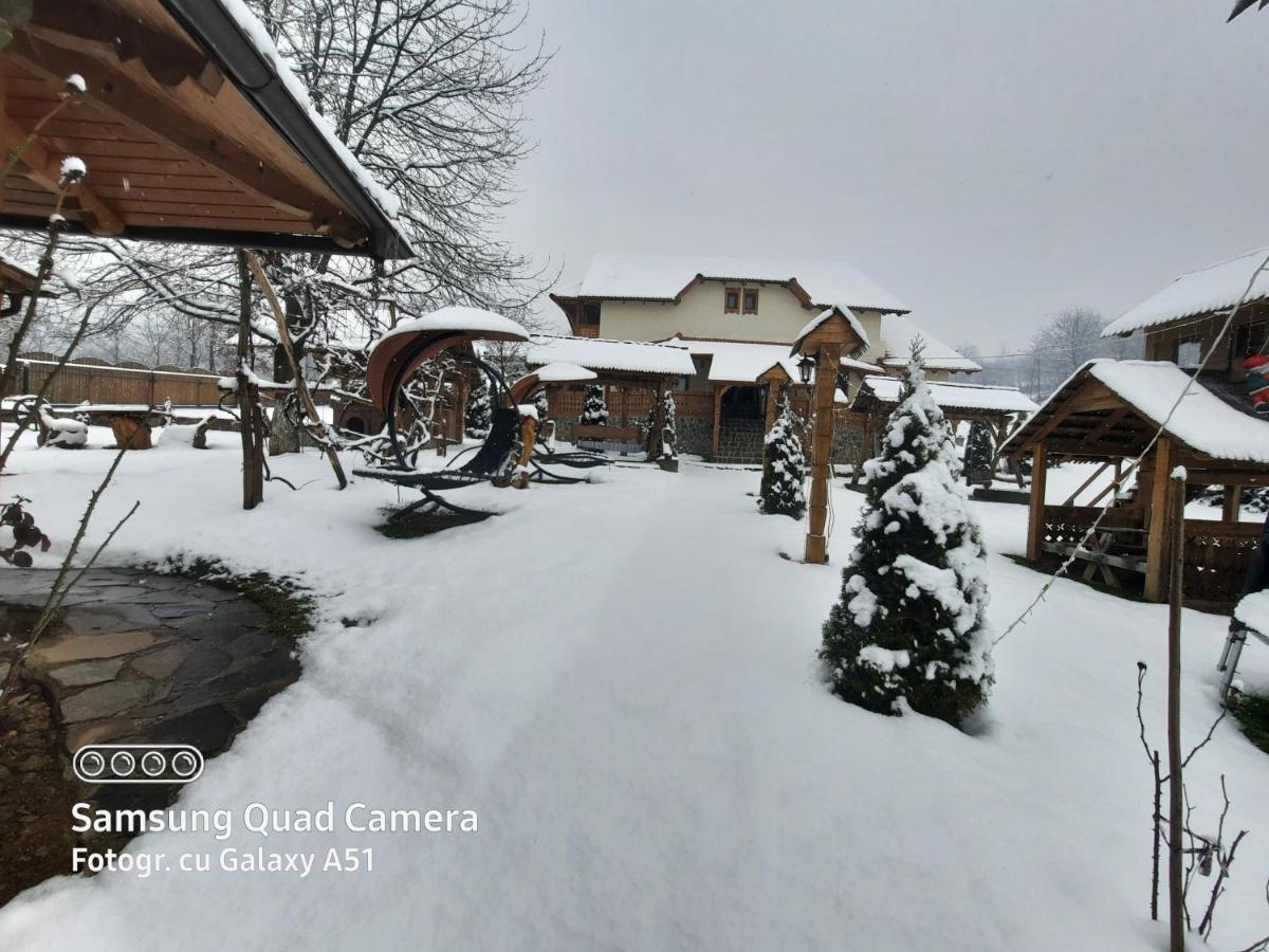 Pensiunea Valea Branzei Nanesti Dış mekan fotoğraf