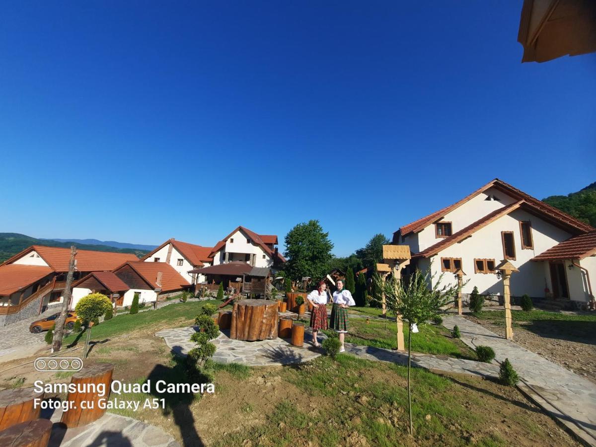 Pensiunea Valea Branzei Nanesti Dış mekan fotoğraf