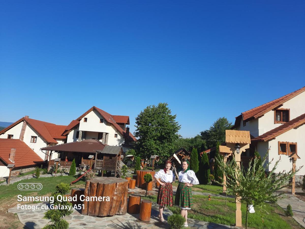 Pensiunea Valea Branzei Nanesti Dış mekan fotoğraf