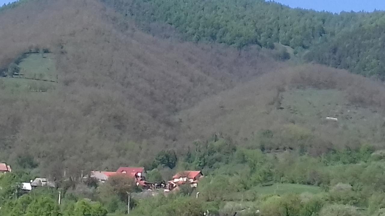 Pensiunea Valea Branzei Nanesti Dış mekan fotoğraf