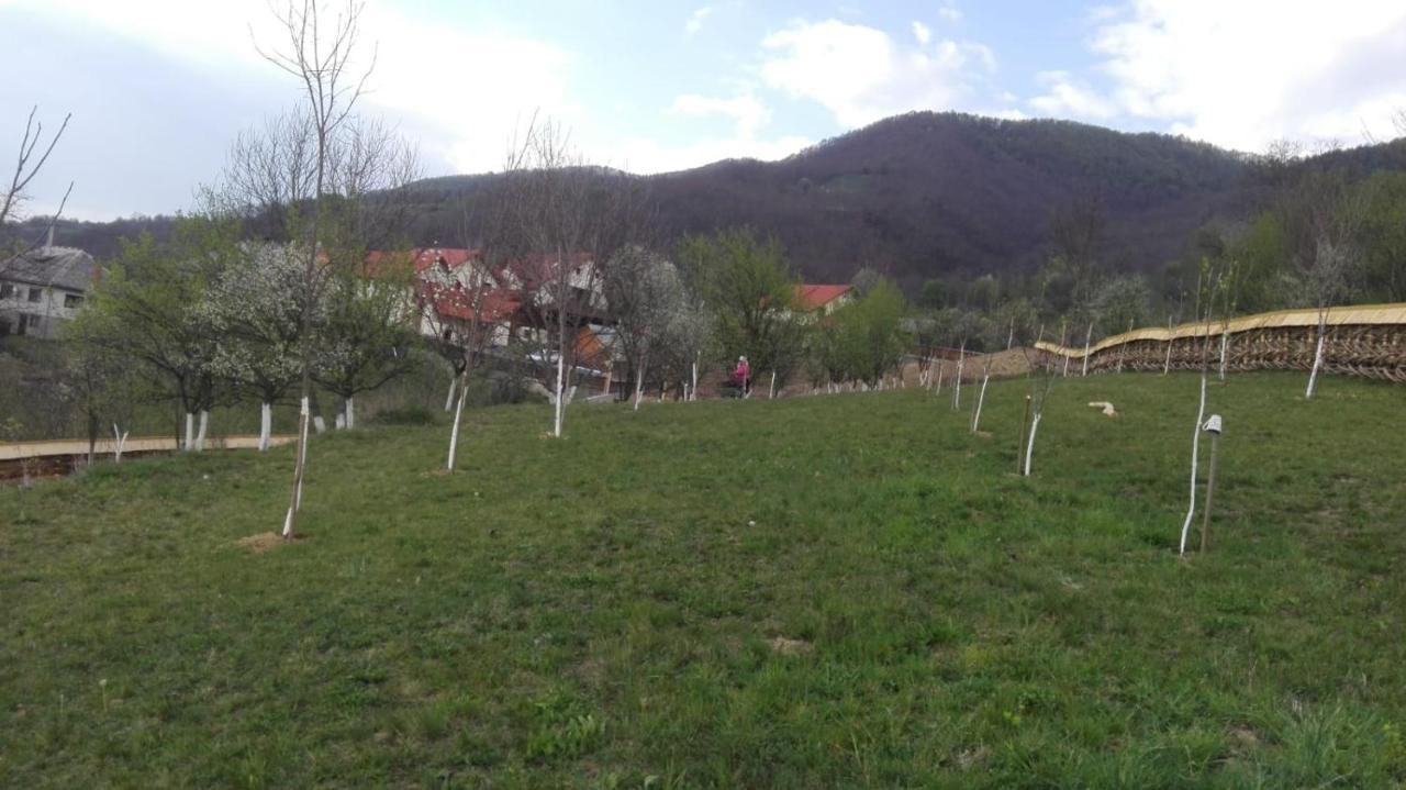 Pensiunea Valea Branzei Nanesti Dış mekan fotoğraf